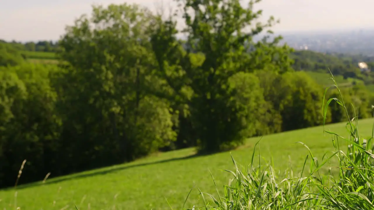 Nature view at "Bellevue Wiese" in Vienna