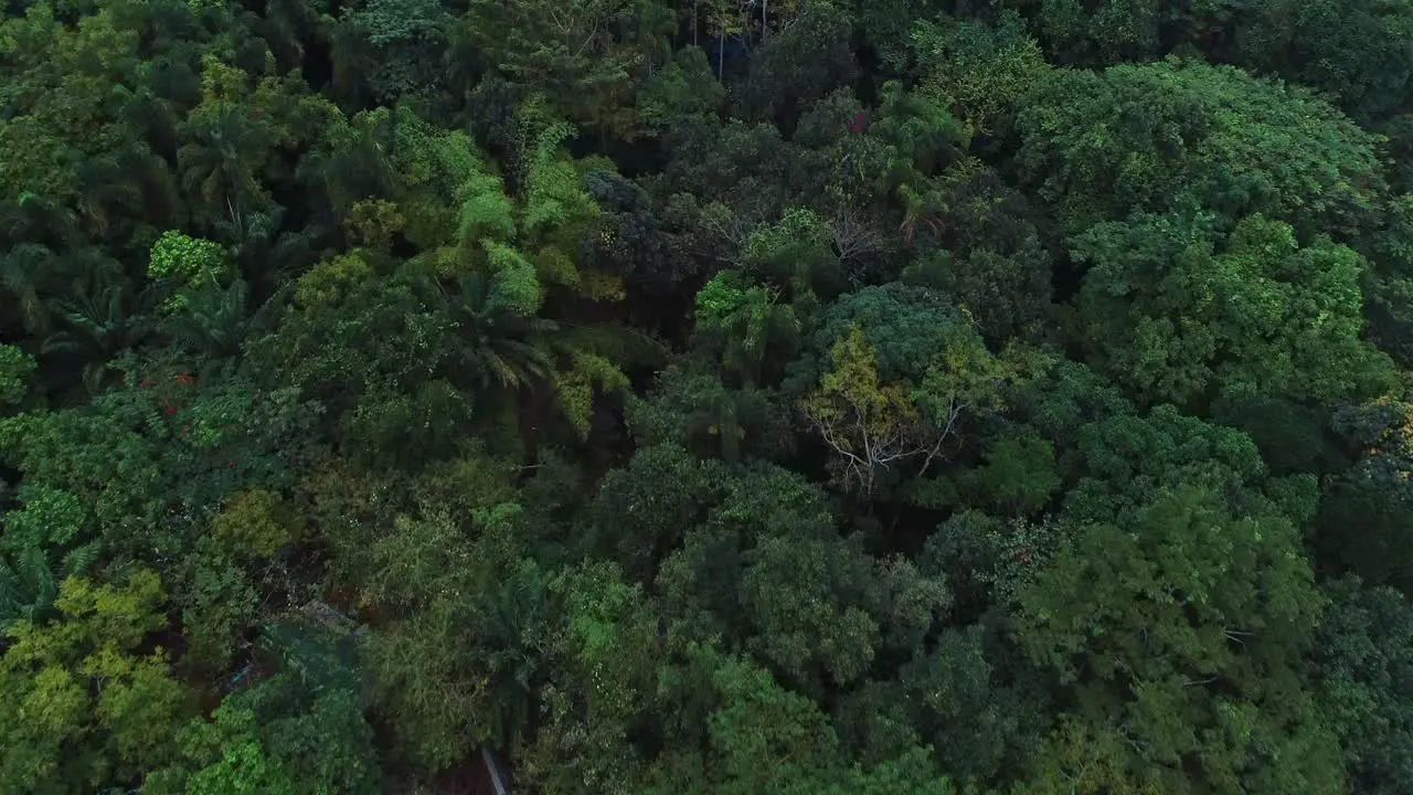 Aerial view of the Morogoro rock garden-14