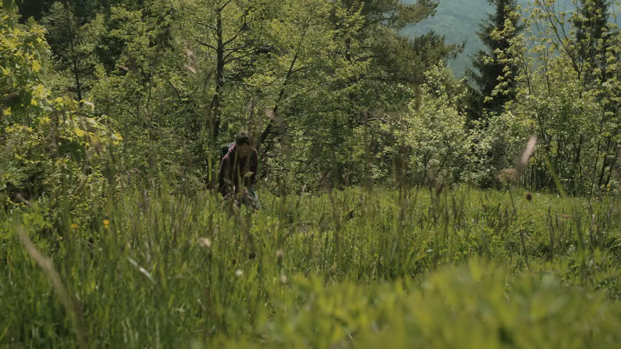 A young hiker walking in green scenery surrounded with trees and a view in the valley and nearby mountains