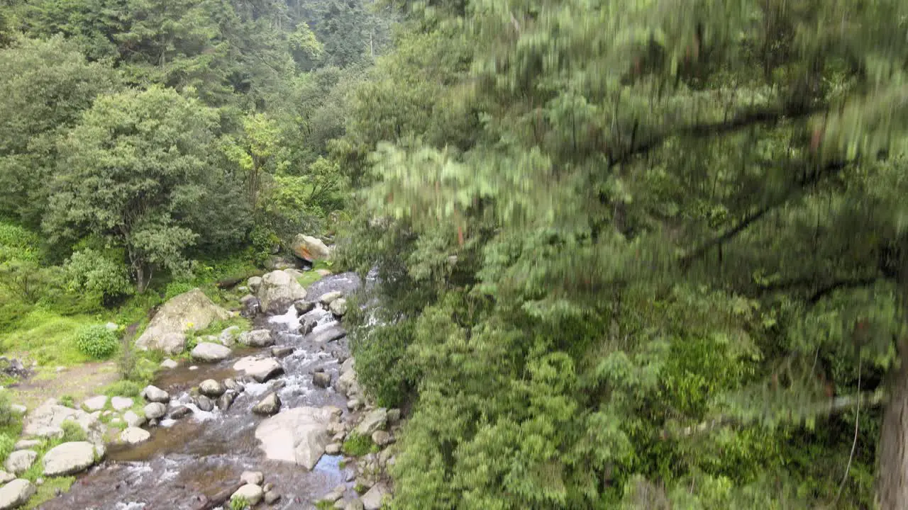 Jib down in front of pines above river at a sunny day