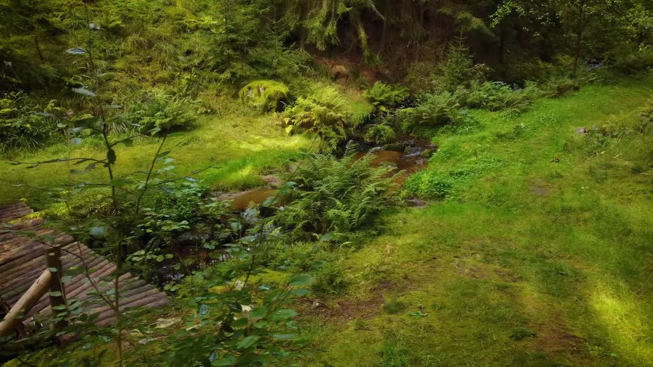 brook in a serene marvellous wood with narrow wooden footbridge