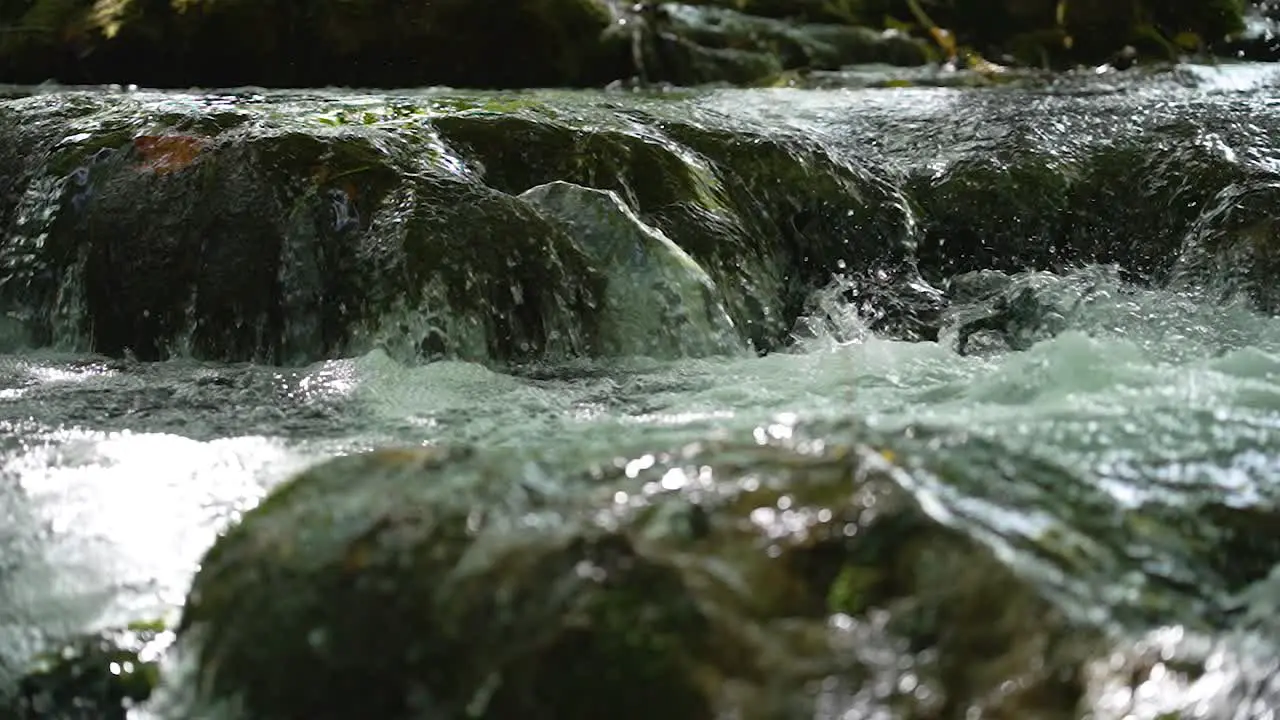 Close up view of a forest river stream cascading over rocks