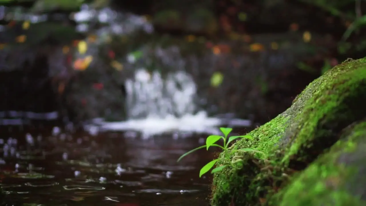 Panning Shot At The River Stream With Slow-Motion Waterfall On Background