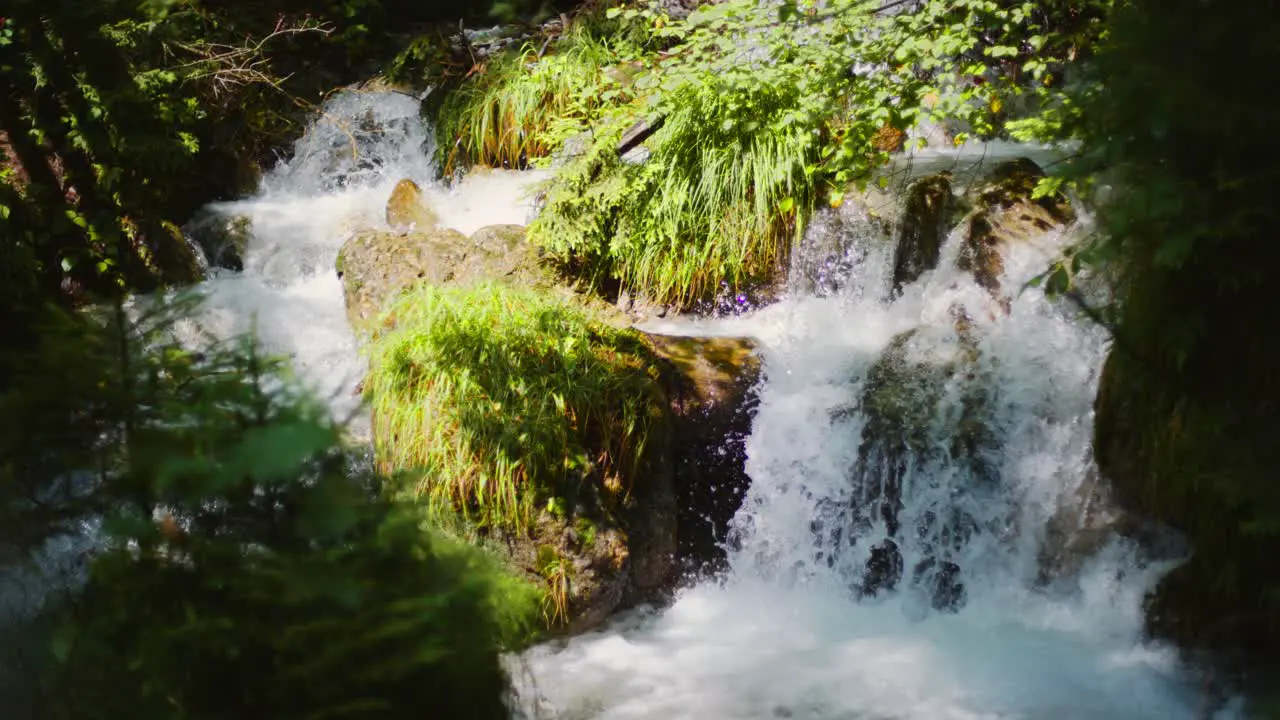 Close up small waterfall in a forest with moss and grass around