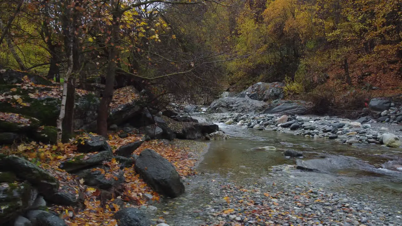 Mountain river water flow with red and yellow trees autumn foliage aerial view