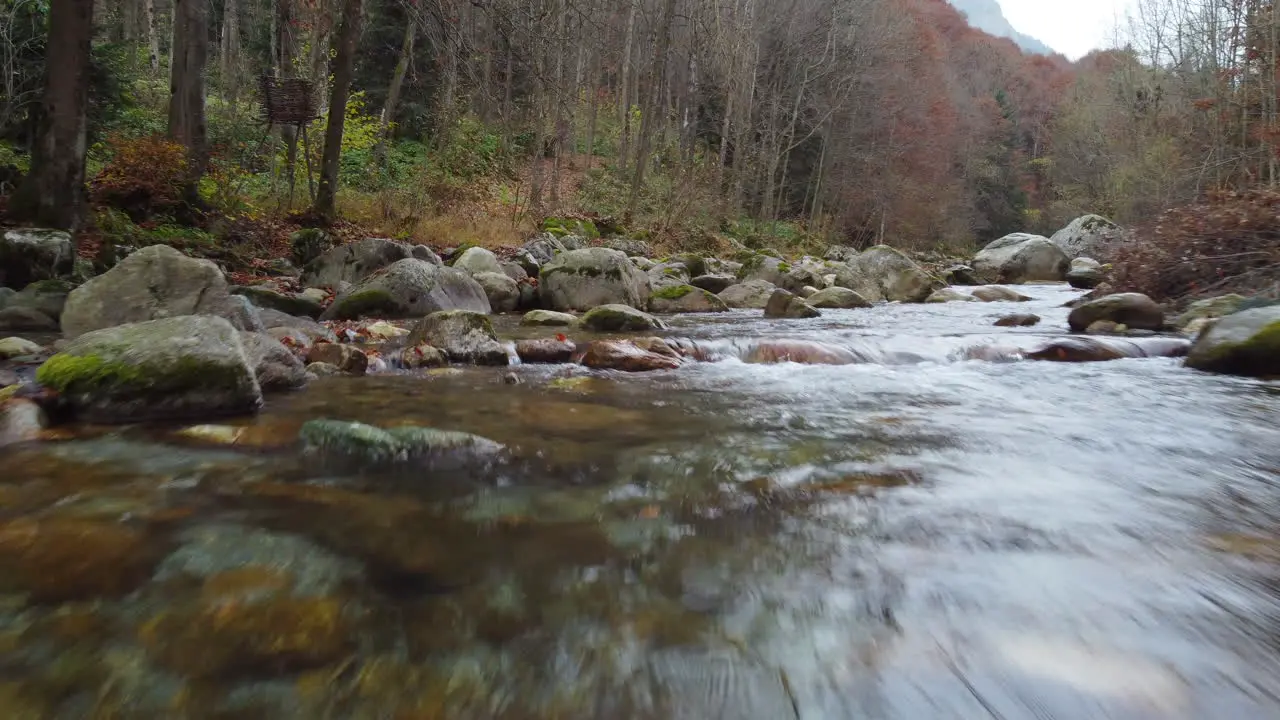 River water flow in mountain forest at autumn foliage aerial view