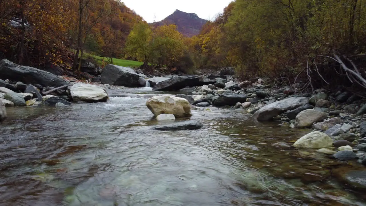 Autumn river in mountain forest