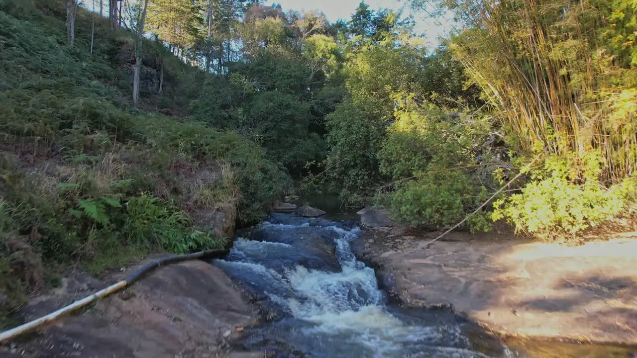 Low level proximity aerial drone shot of a river in a forest at daylight revealing the beautiful rapids and intense jungle