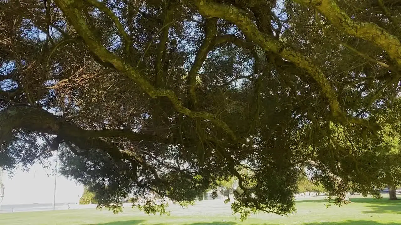 wide view in slow motion at gardens of Torre de Belem Lisbon Portugal