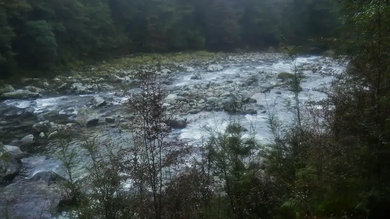 Mystical river flowing in deep jungle of New Zealand during cloudy day