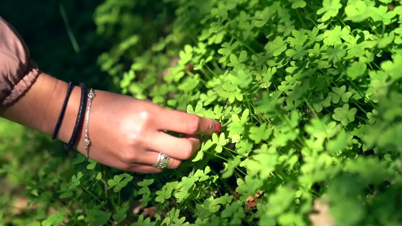 Close-up of a girl's hand plucking a clover leaf in slow motion