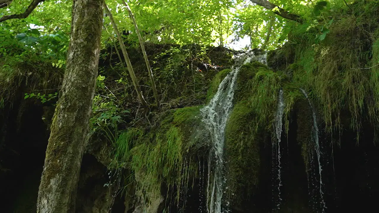 Beautiful slow motion shot of small mountain river waterfall splashing over cascade of rocks covered with moss and grass