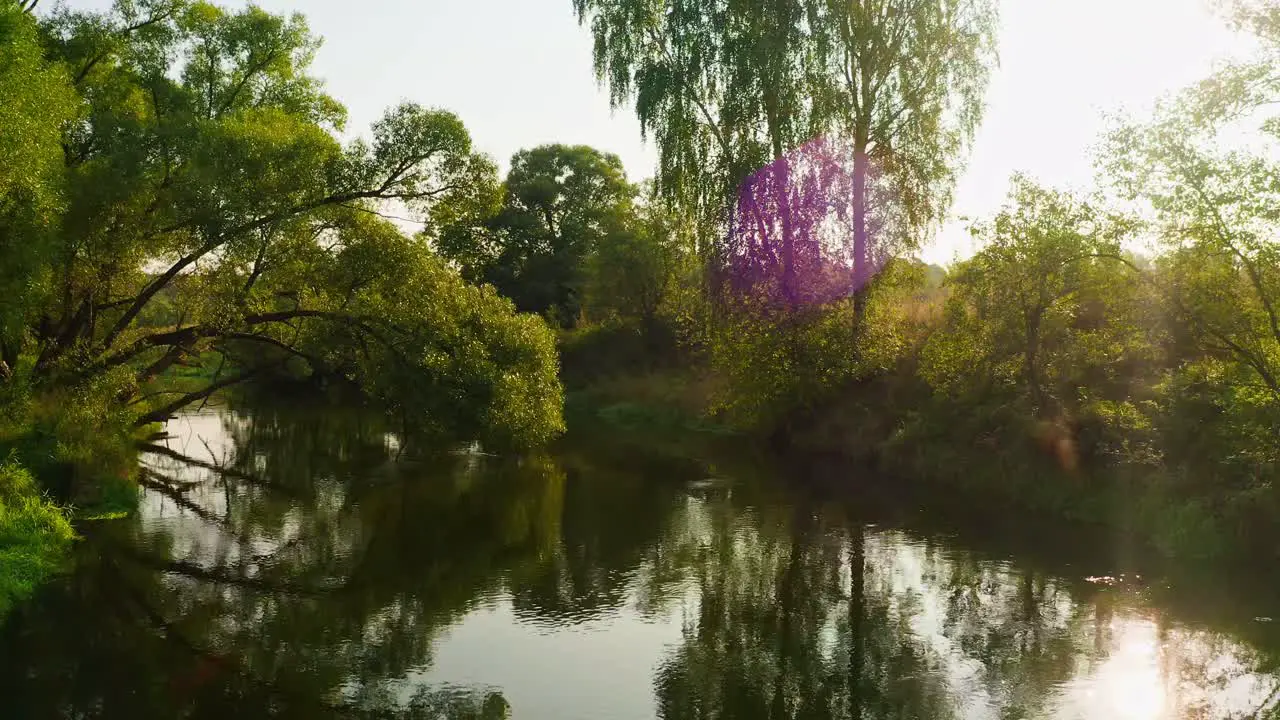 Aerial – Summer Trees Leaning To River And Sunlight Reflecting In Flowing Water