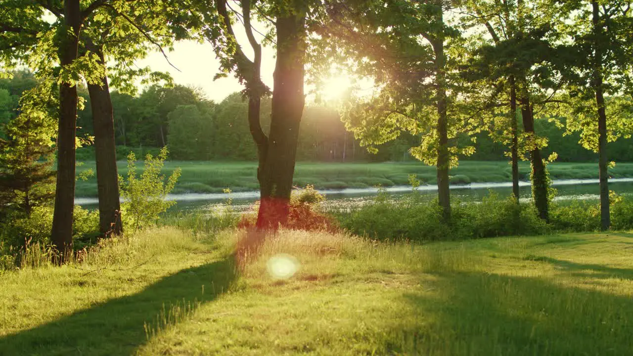 Drone flying toward river slowly in the golden evening light with bugs swirling around