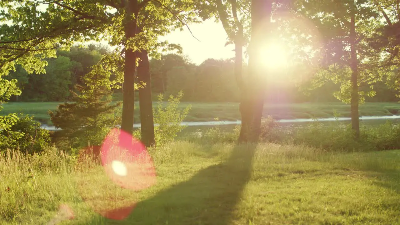 Drone pulls back and slides right slowly with a river and trees in the golden evening light with bugs flying around