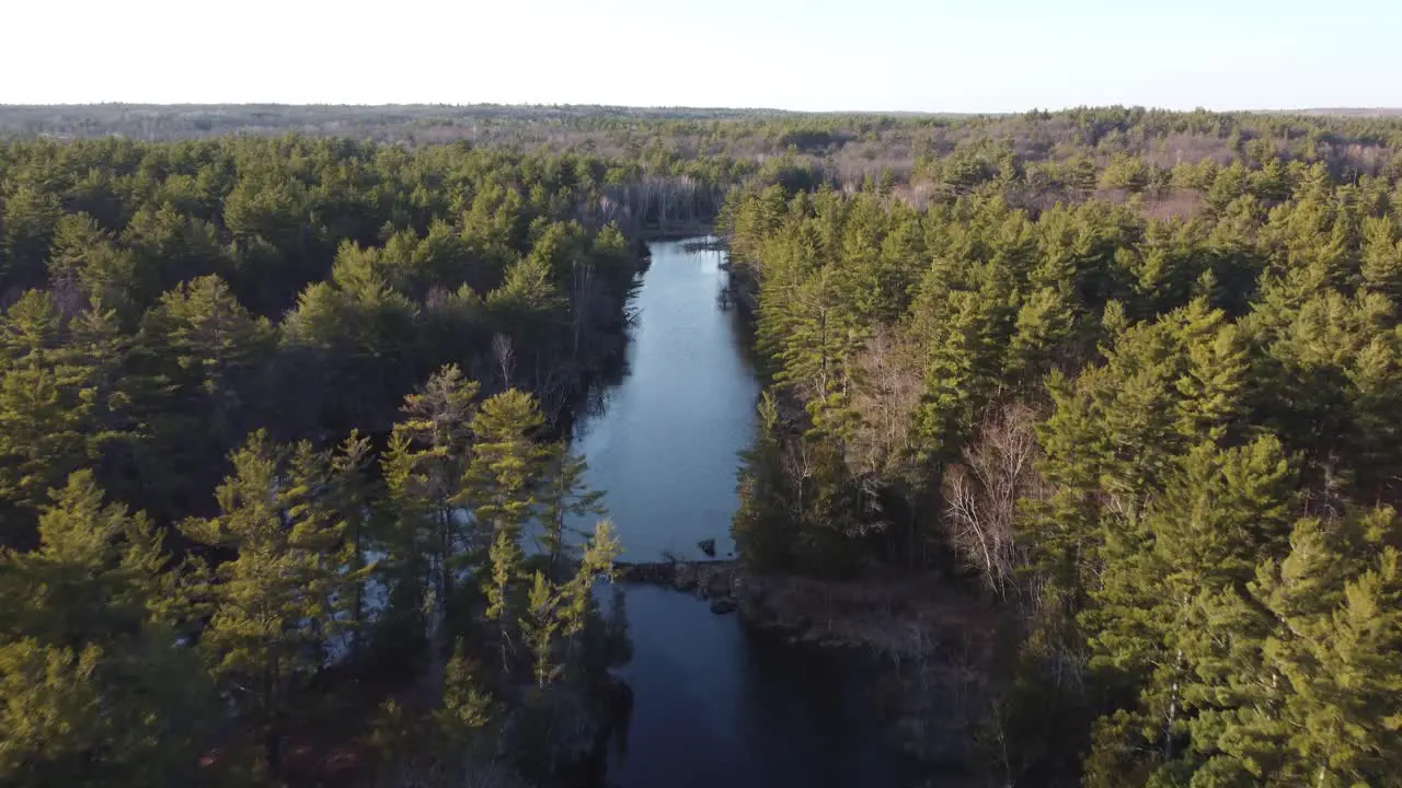 Push in drone river view surrounded by forest and trees at golden hour Highlands07