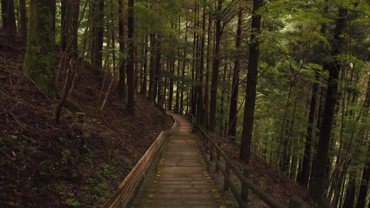 Iya Valley Oku-Iya Kazurabashi Tokushima Japan