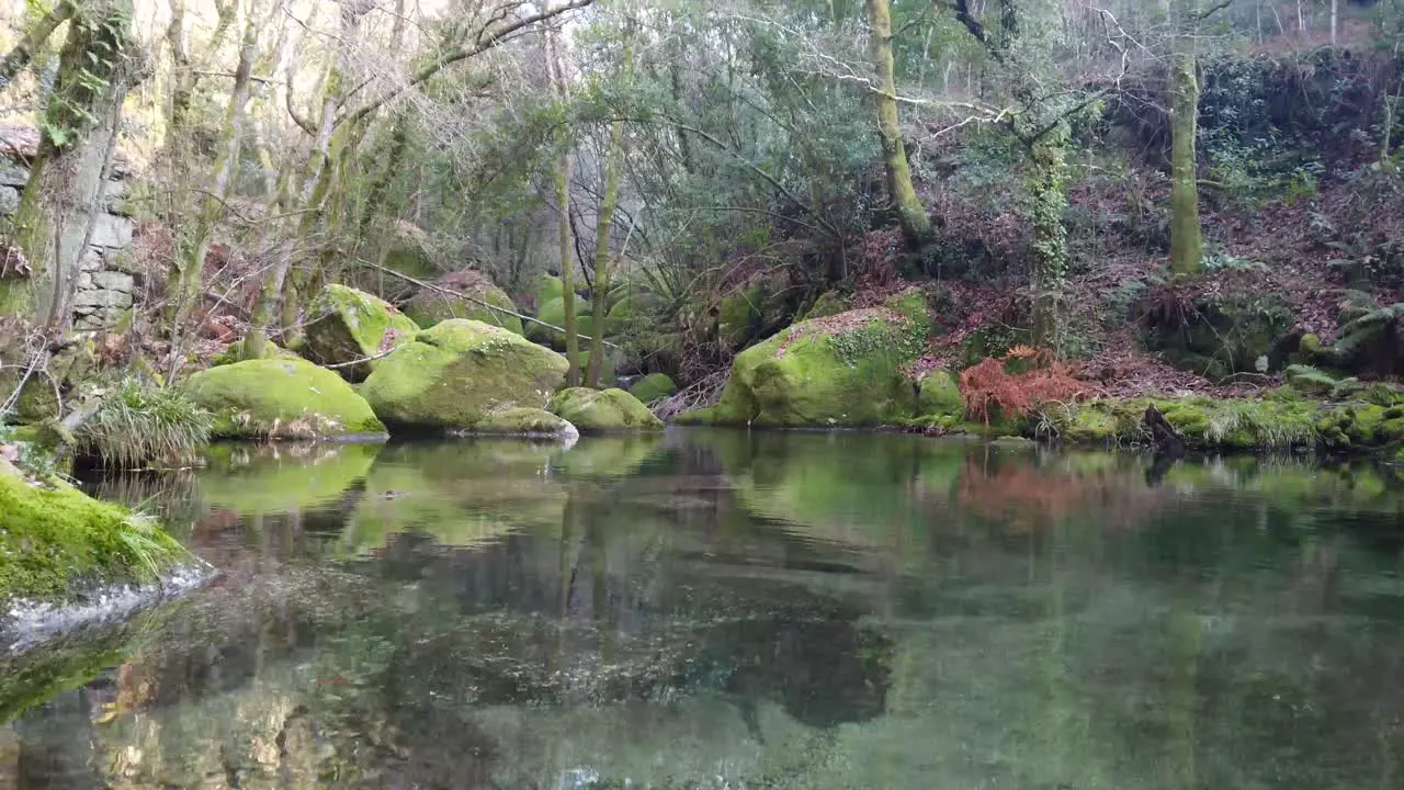 beautiful untouched river with water reflection  shot on gimbal