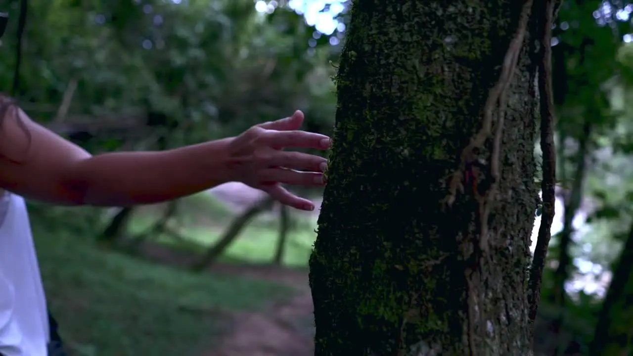 Close up hand touching tree