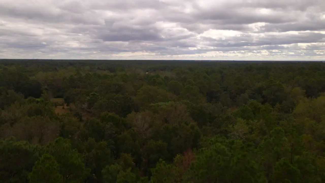 Flying over a forest on a cloudy day