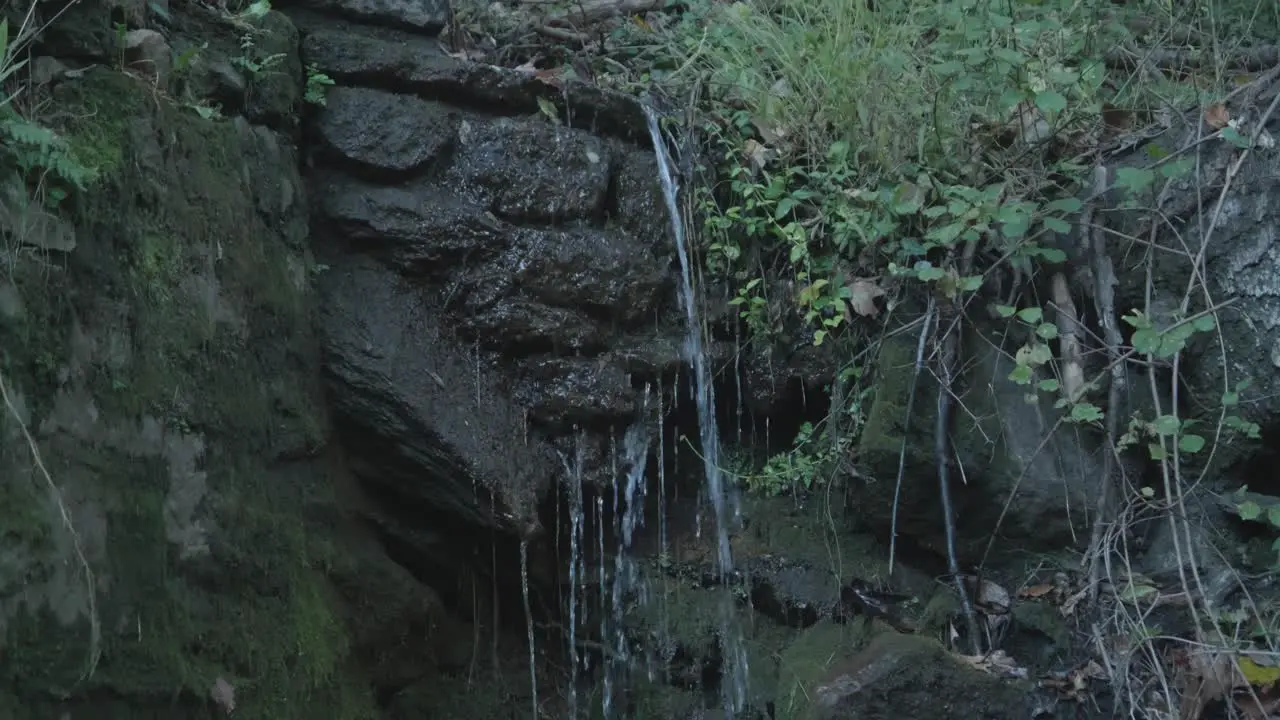 Water trickles on rocks and mud along Wissahickon Creek