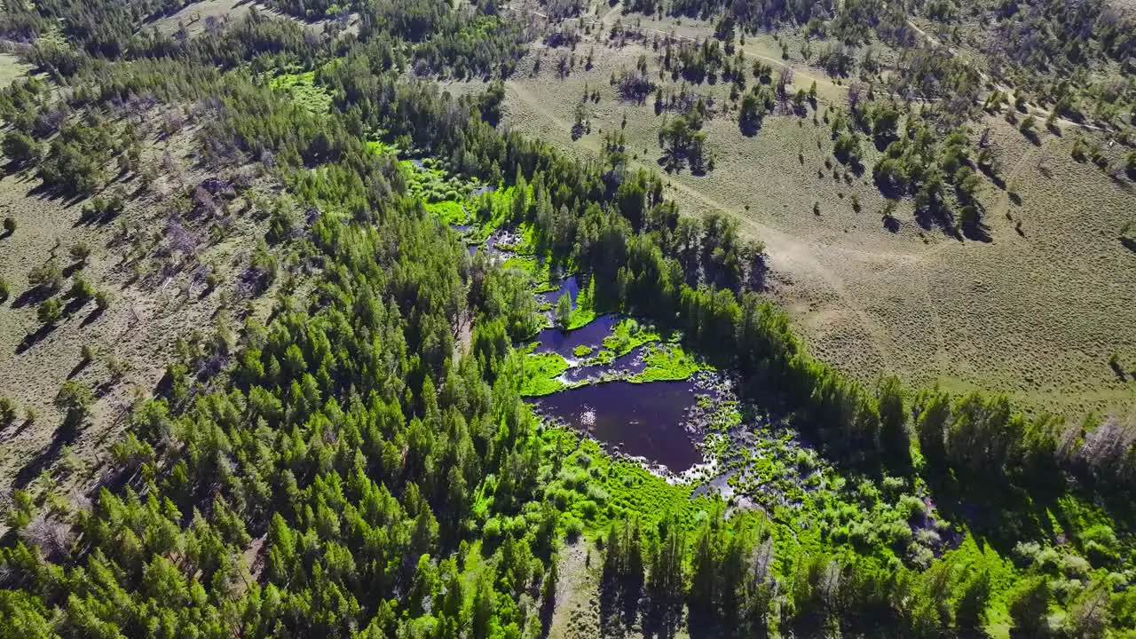 Aerial view of a large meadow with a running river running through it in Wyoming during the summer