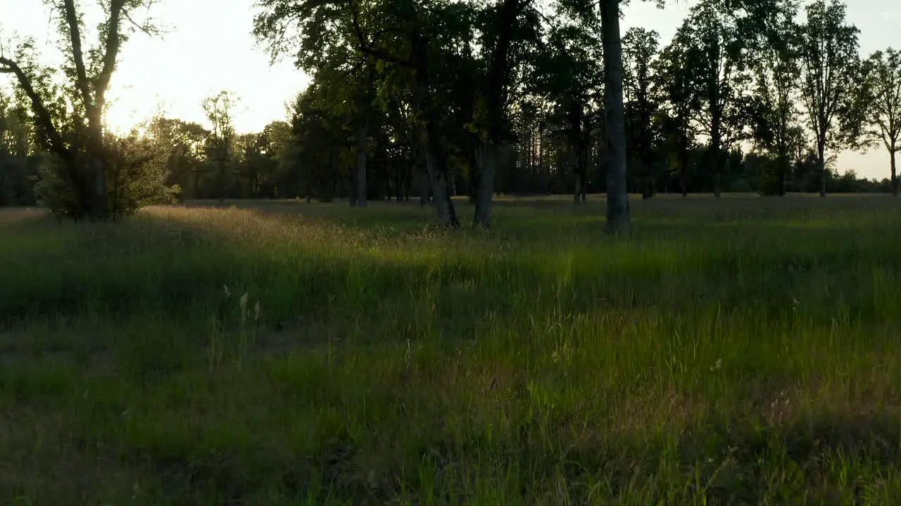 Drone tilt up shot of a beautiful sunset with grass in foreground