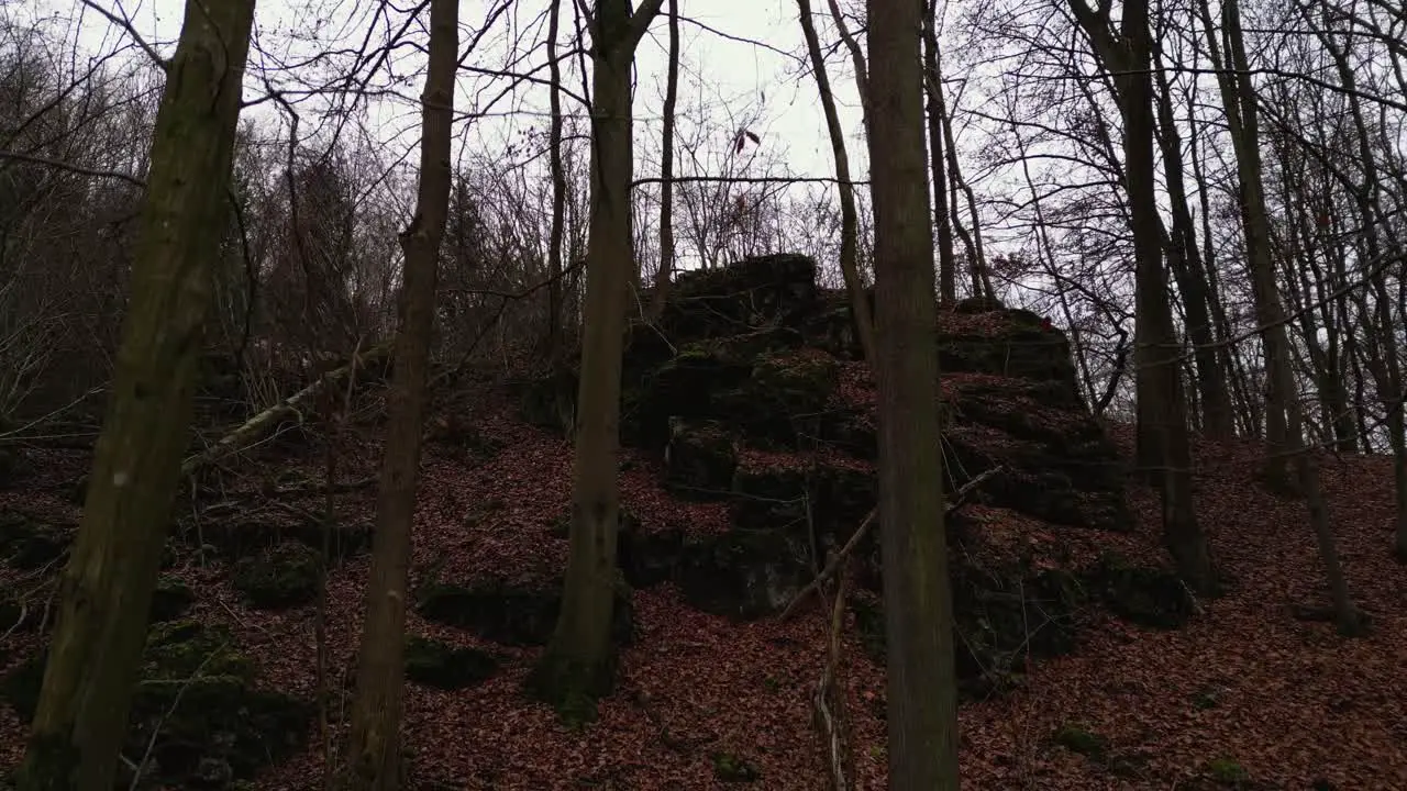 Stone formation in the forest