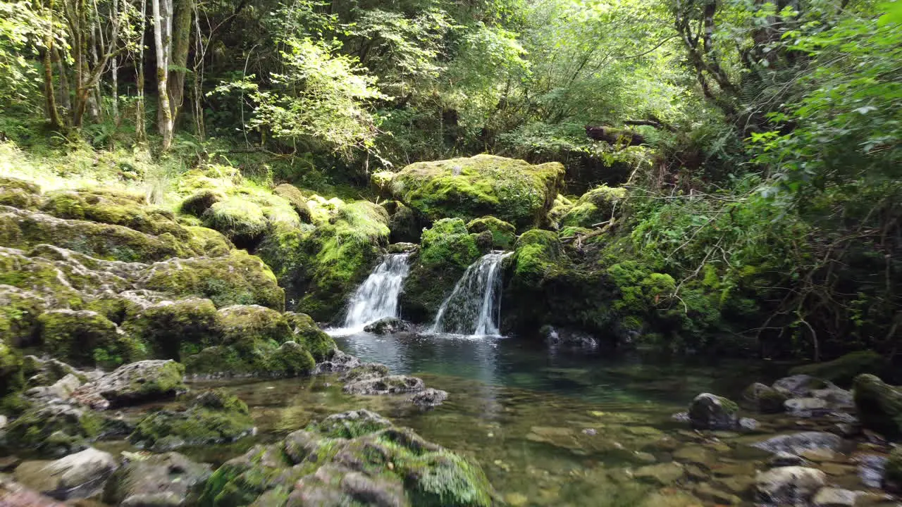 A beautiful waterfall in a mossy river in the middle of the forest