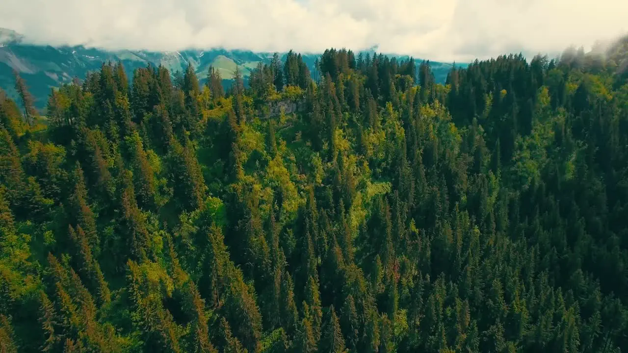 BIRDS EYE VIEW OF MOUNTAINS AND BLUE SKY #FOREST LIFE