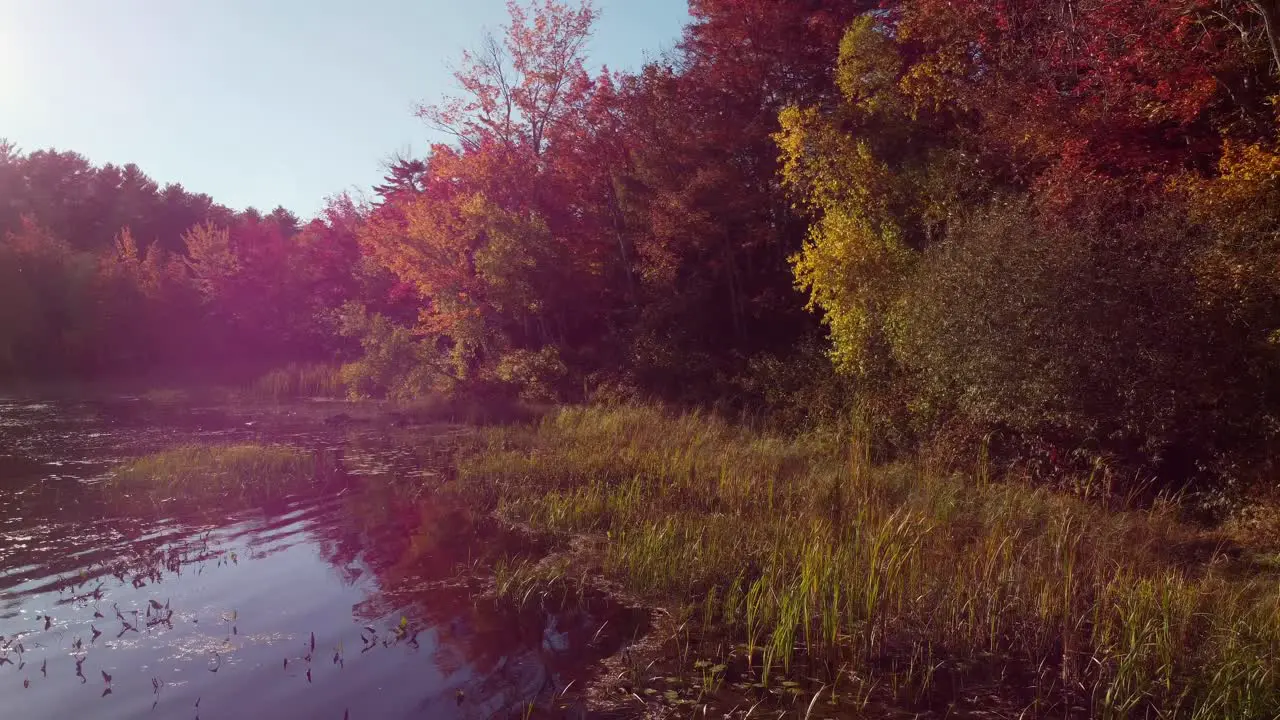 A panning shot with a bright light flare over a lake in Maine