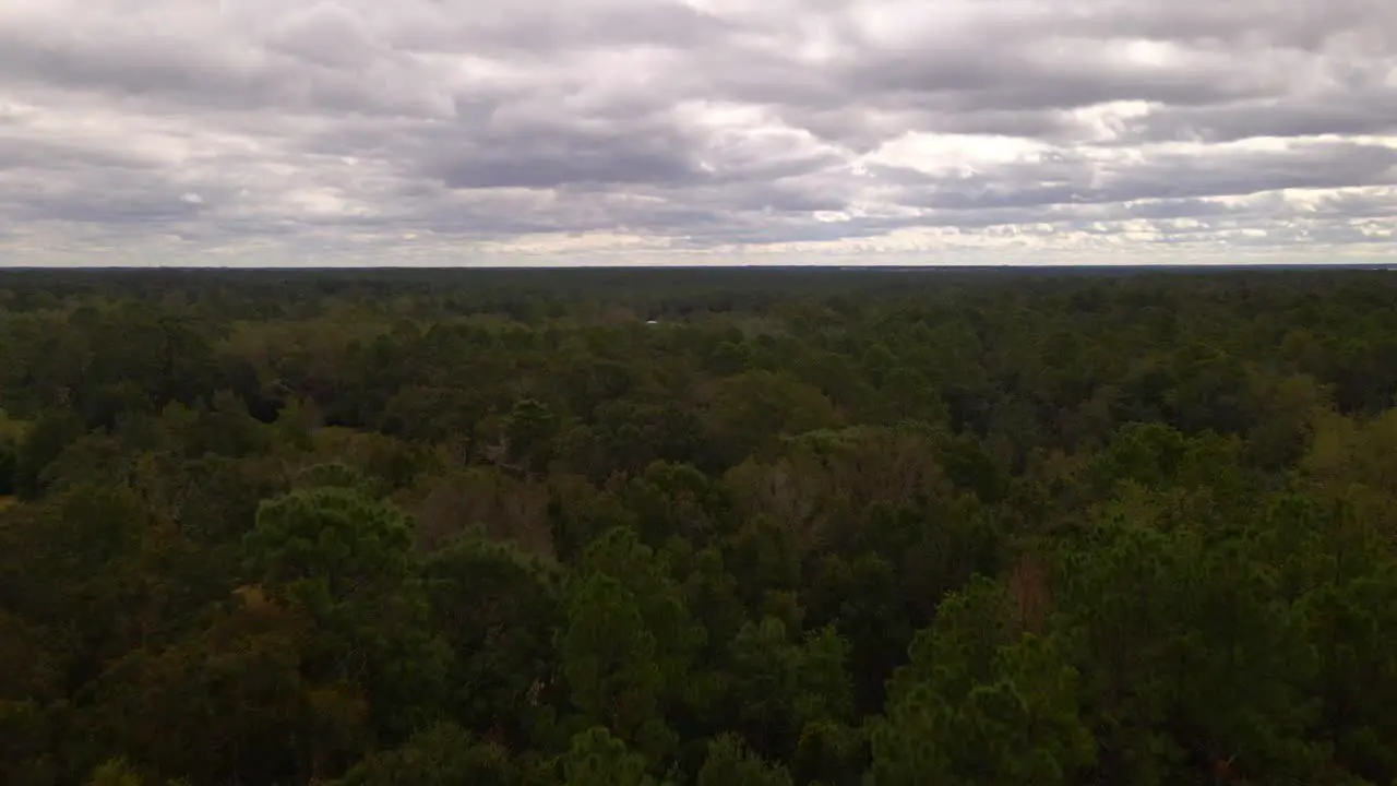 Flying over a forest on a cloudy day-1