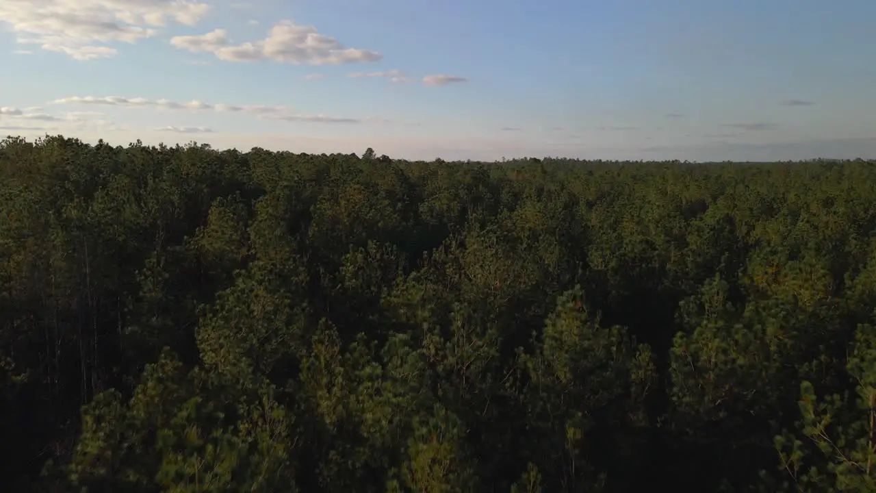 Flying over a forest and the sky is clear-6