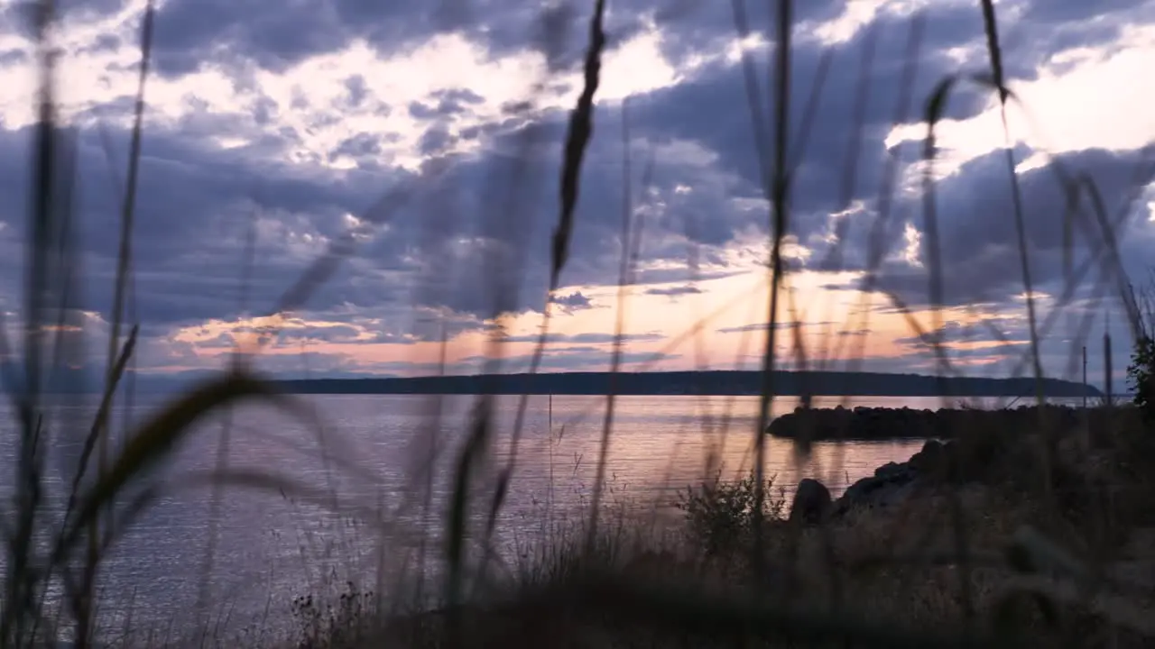 Camera moving through tall grass looking out over calm seaside during twilight hour