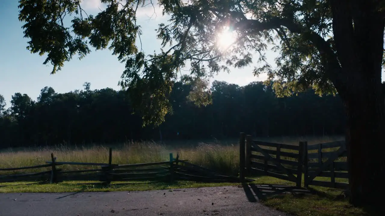 Dolly in to historic Fields and tree line