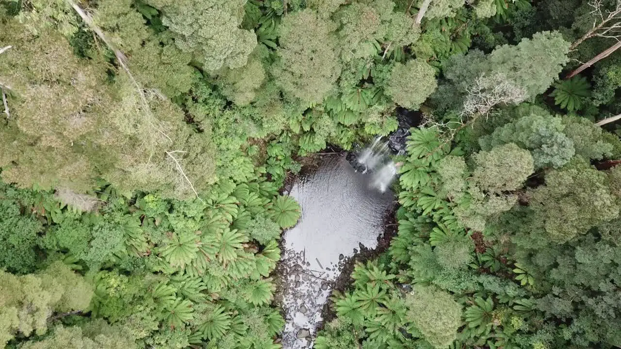 Drone arial over waterfall moving and looking down with trees and ferns all around during summer on a sunny day