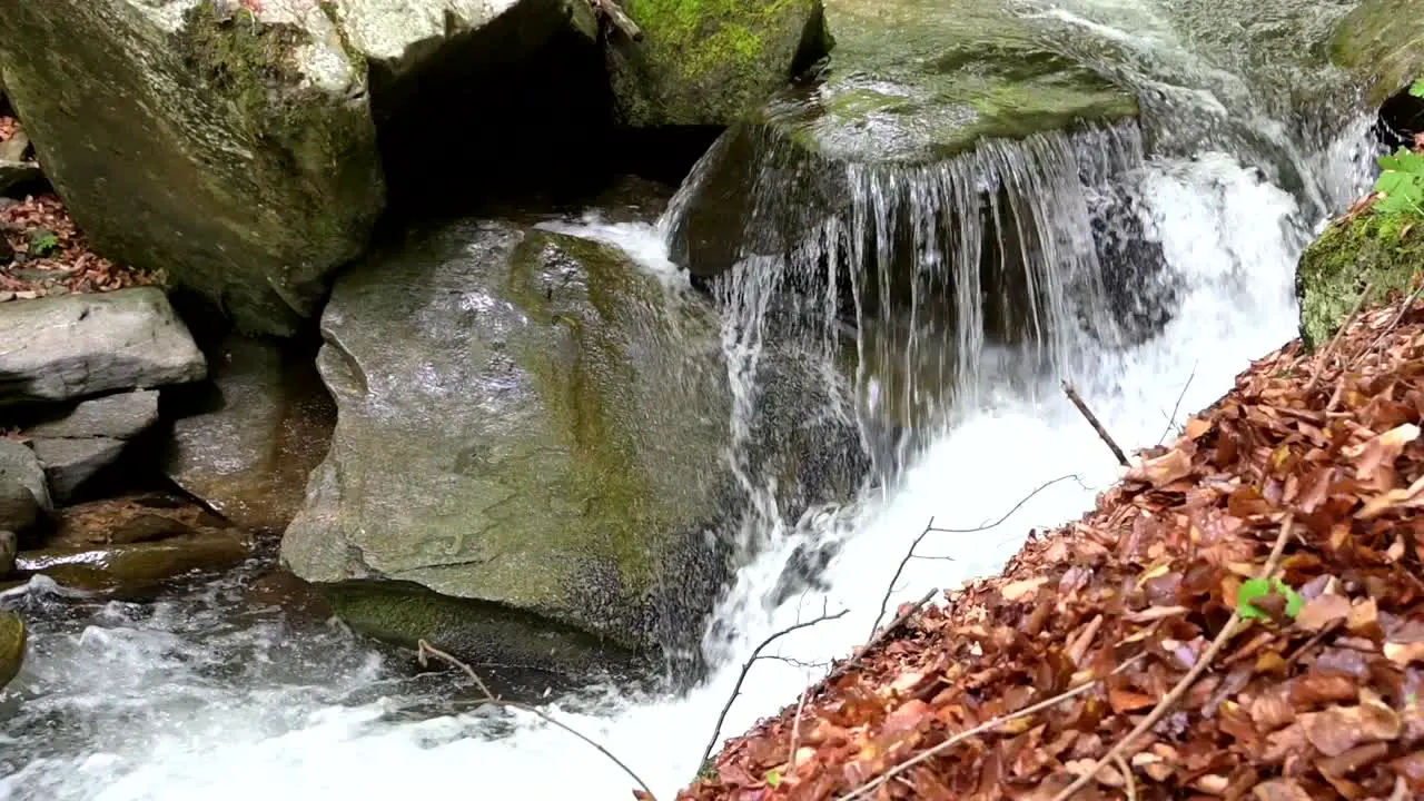 small stream in the mountain of North Macedonia