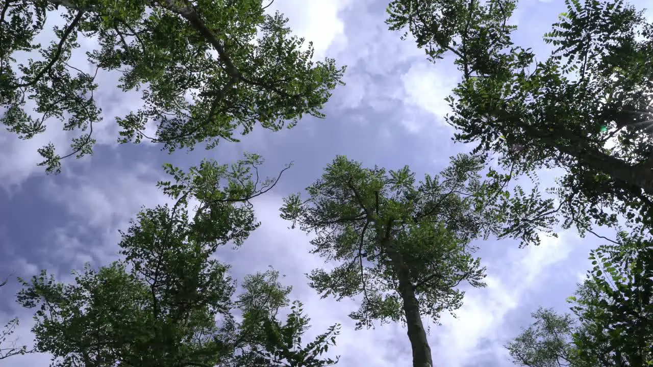 The beauty of the autumn sky and nature unfolds