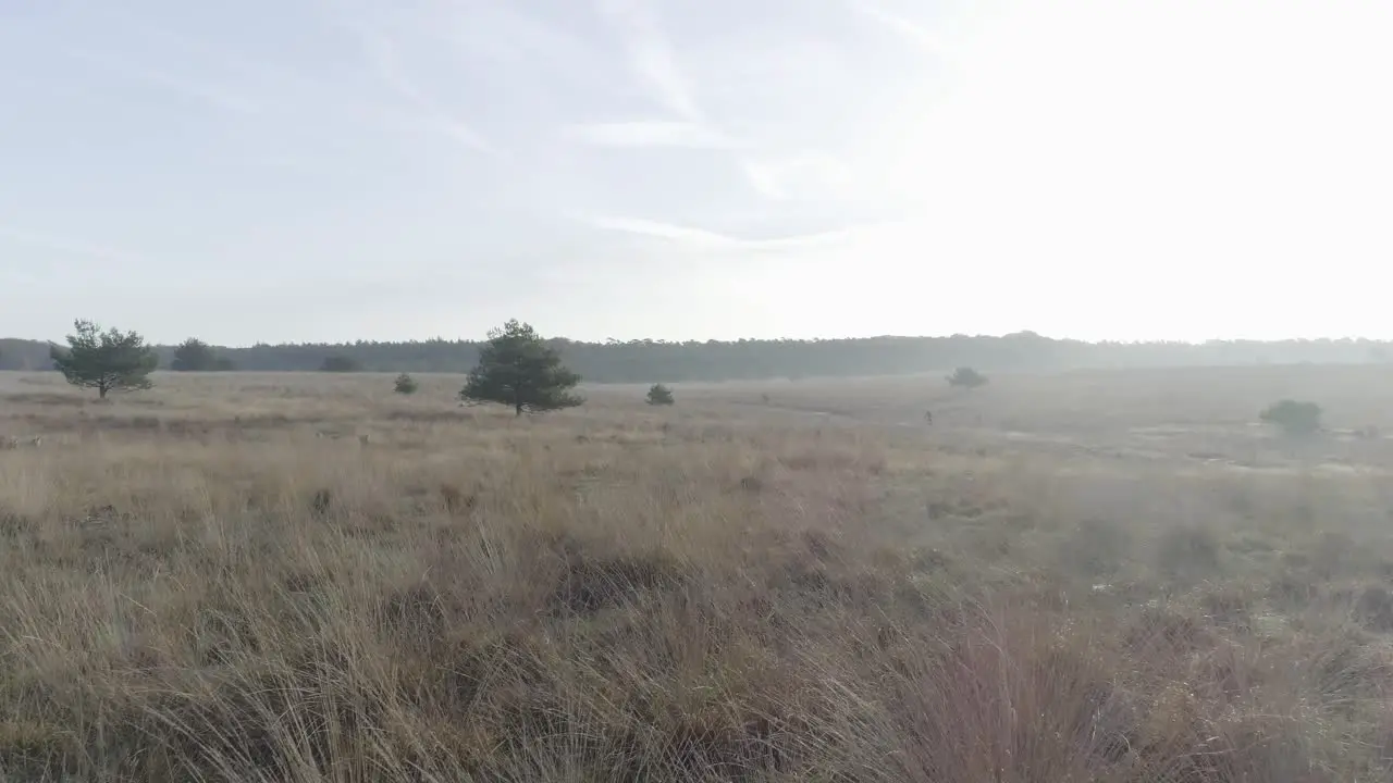 Drone shot of nature and a mountainbiker