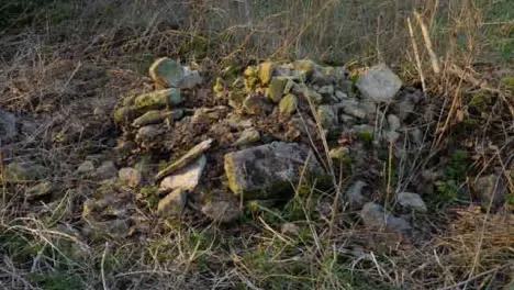 Tracking Shot Revealing Broken Stone Wall 