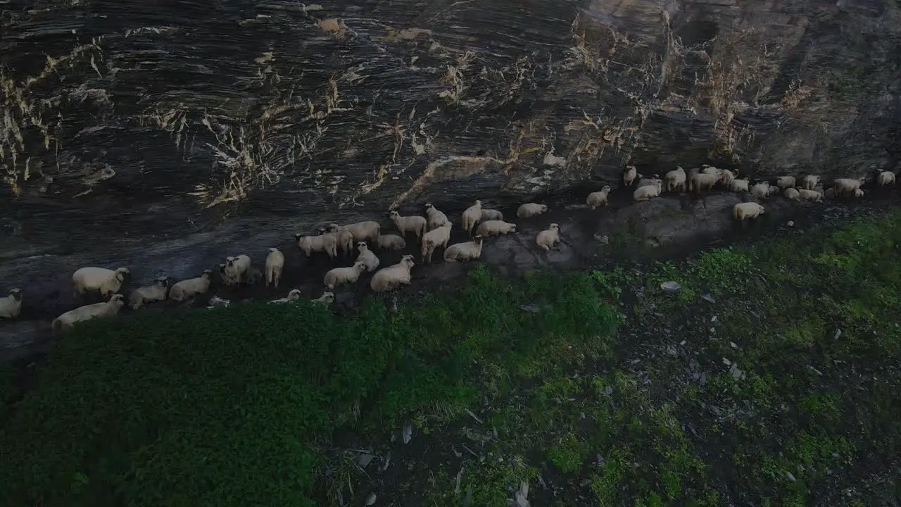 cinematic flight in the alps