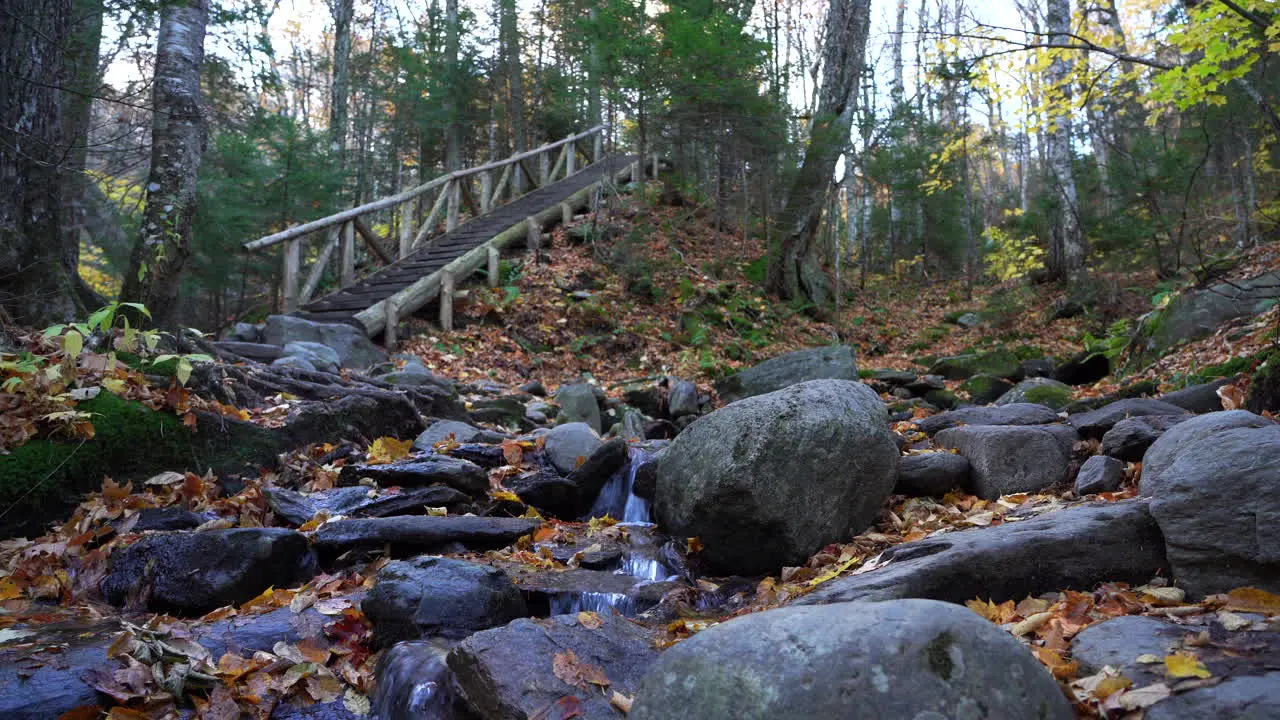 Man running up stairs by river