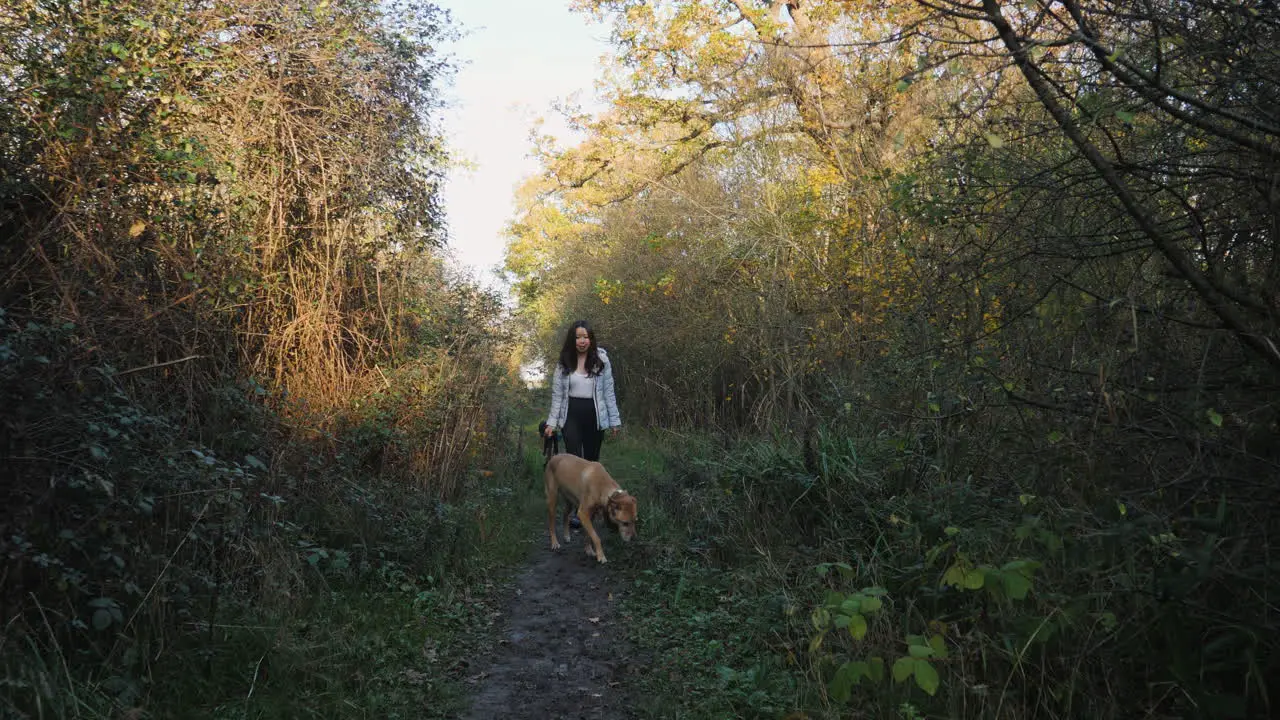 An Asian Woman and Her Dog Walking into a Dark Path