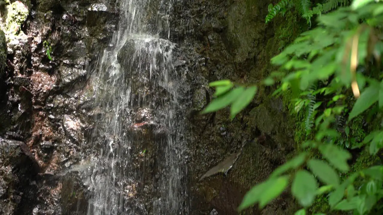 A small waterfall in the nature