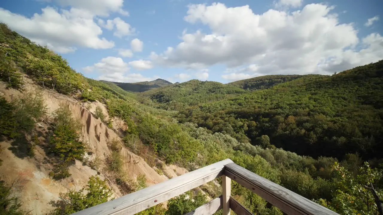 4K nature smooth gimbal shot