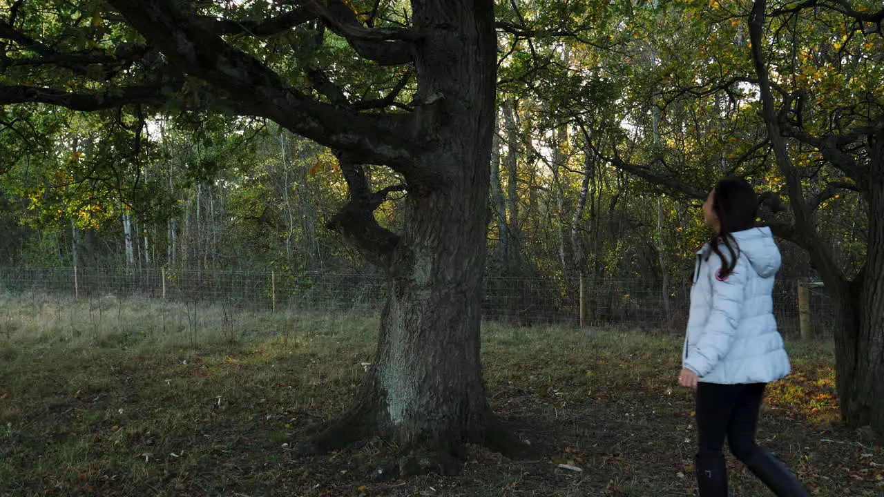 An Asian Woman Hugging a Tree