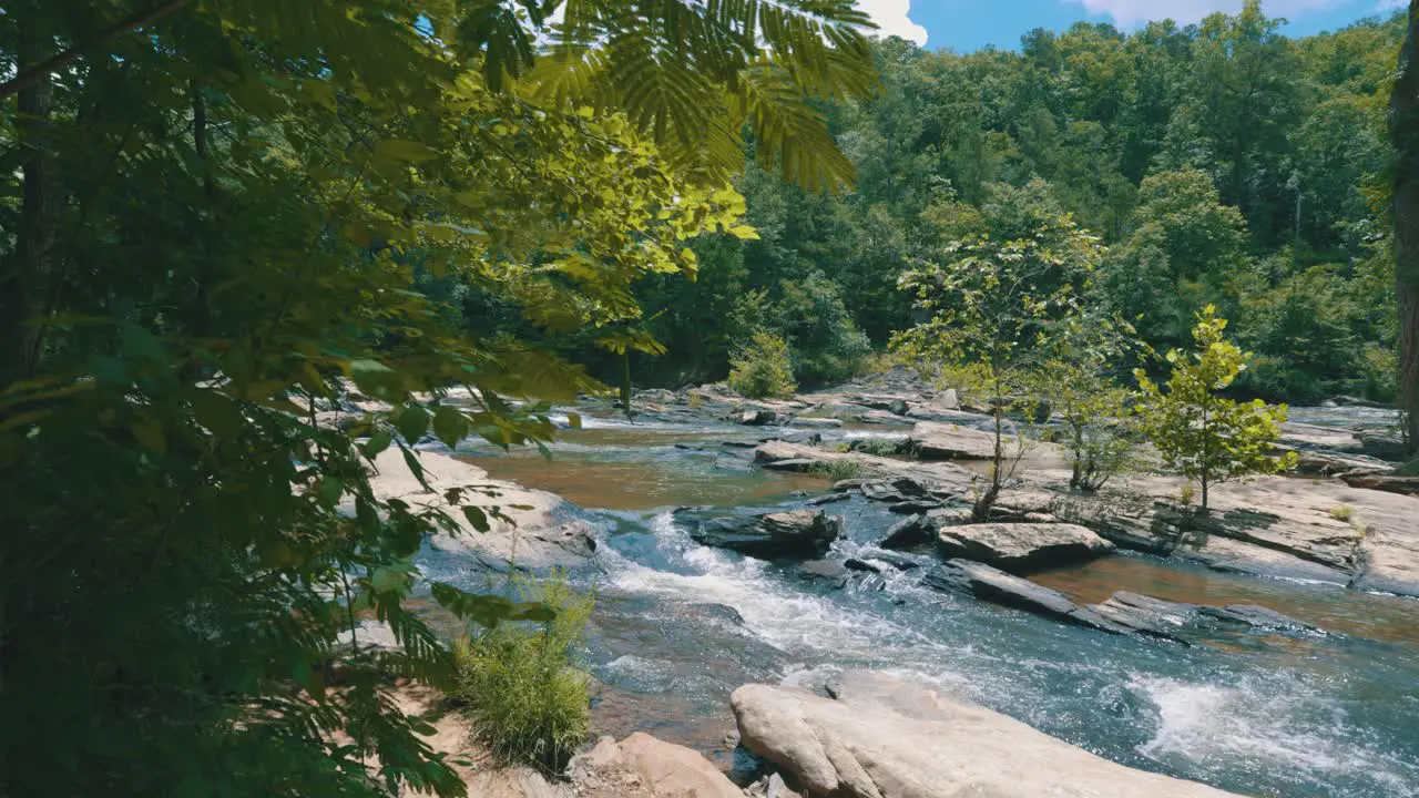 A beautiful sweeping view of a steady river embedded within a thick green forest on a sunny day