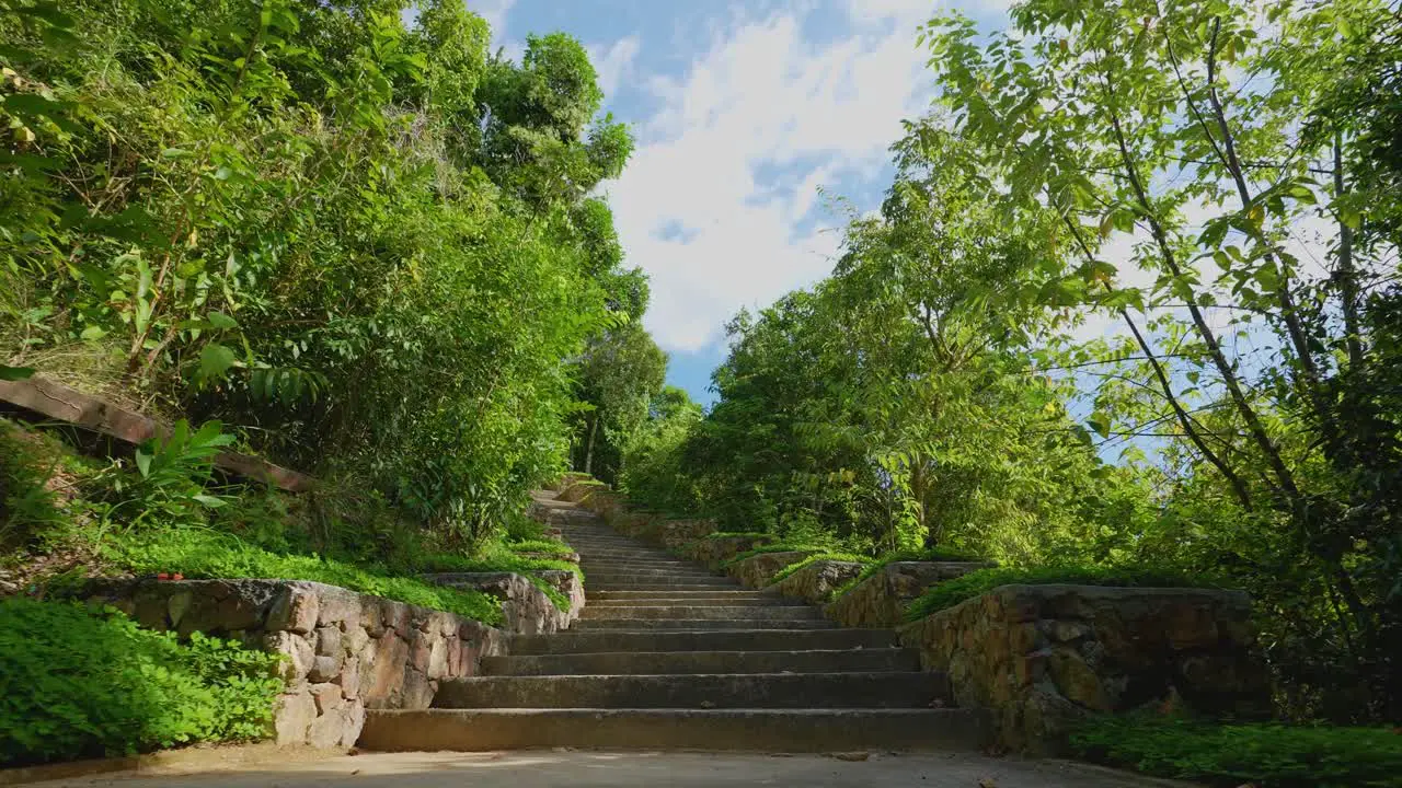 Walking Up the Stone Stairway in the Forest Low Angle Slow-Mo Gimbal Push-In 4k