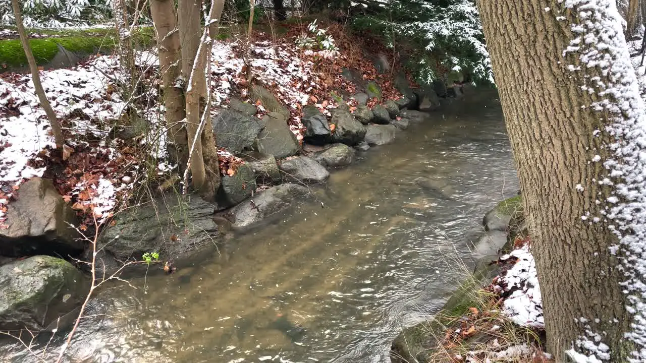 snowing outside on river in park