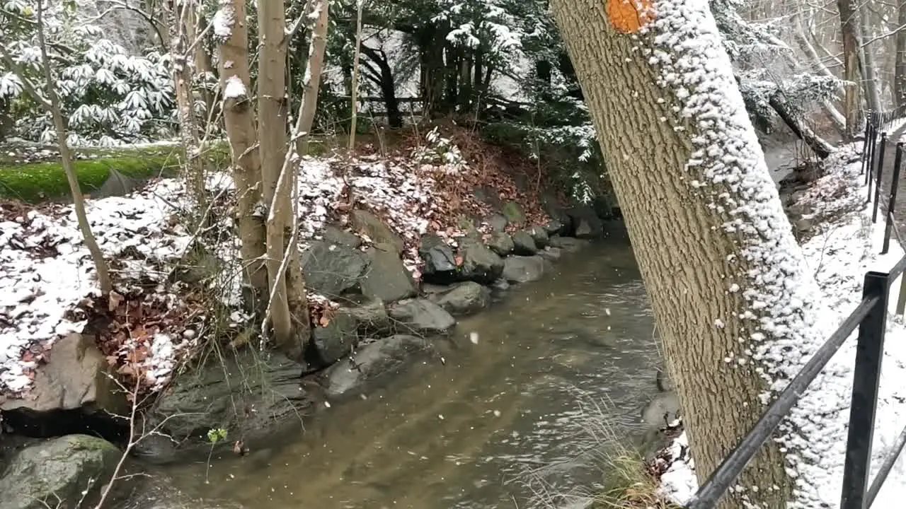 snowing outside on river in forest